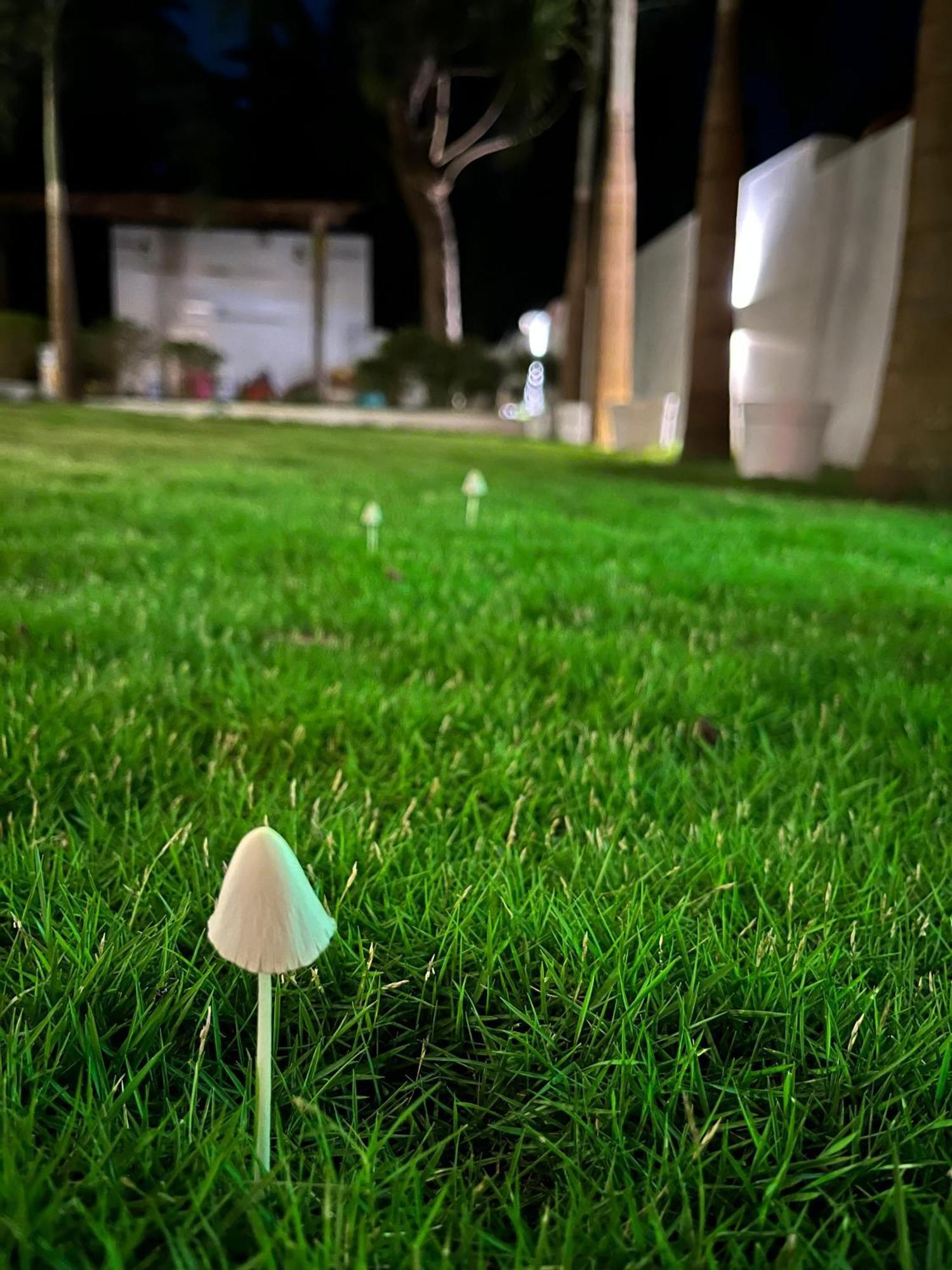 Hotel 14 Magic Pods Morjim Zewnętrze zdjęcie
